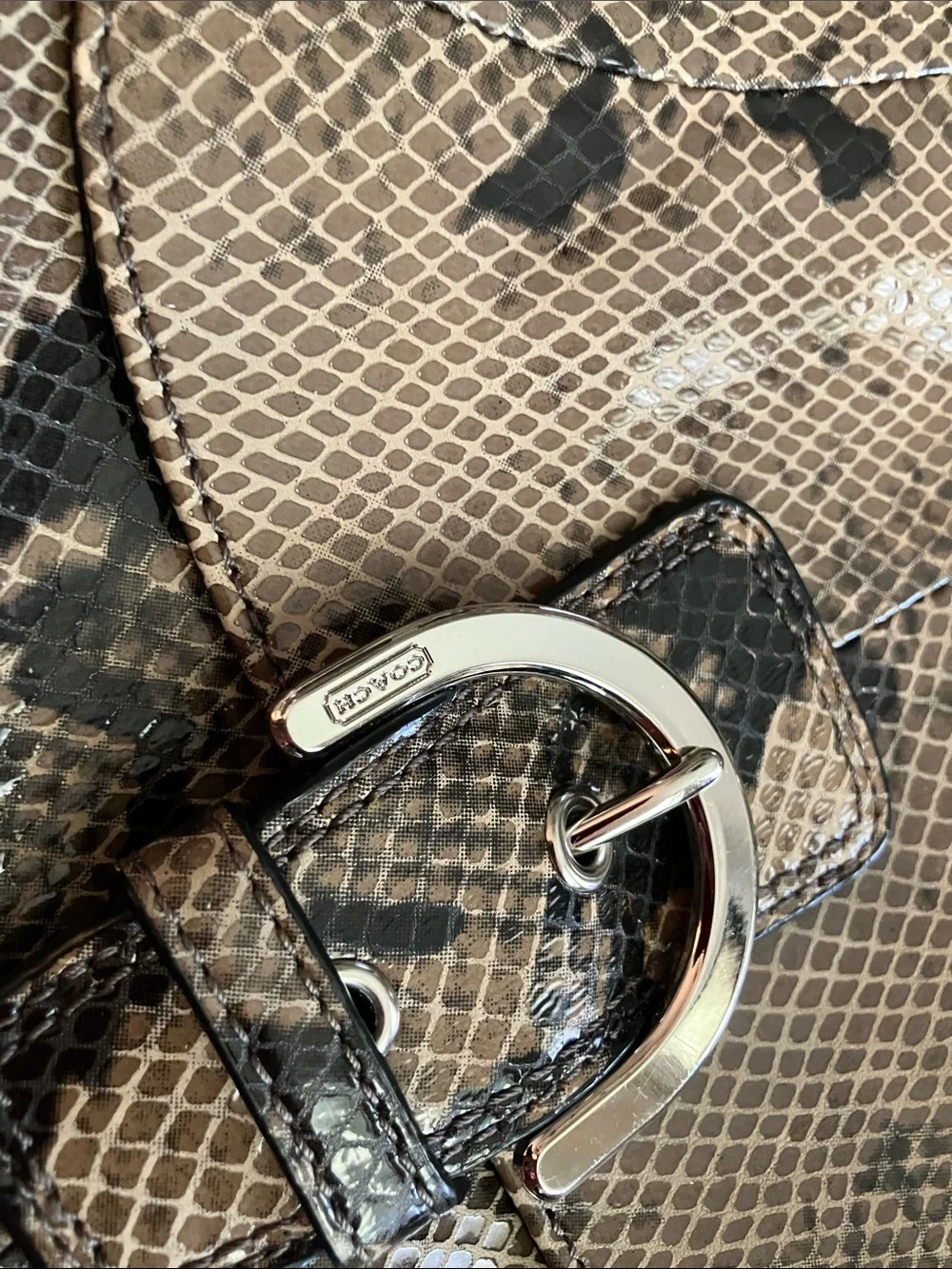 Coach snakeskin Purse
